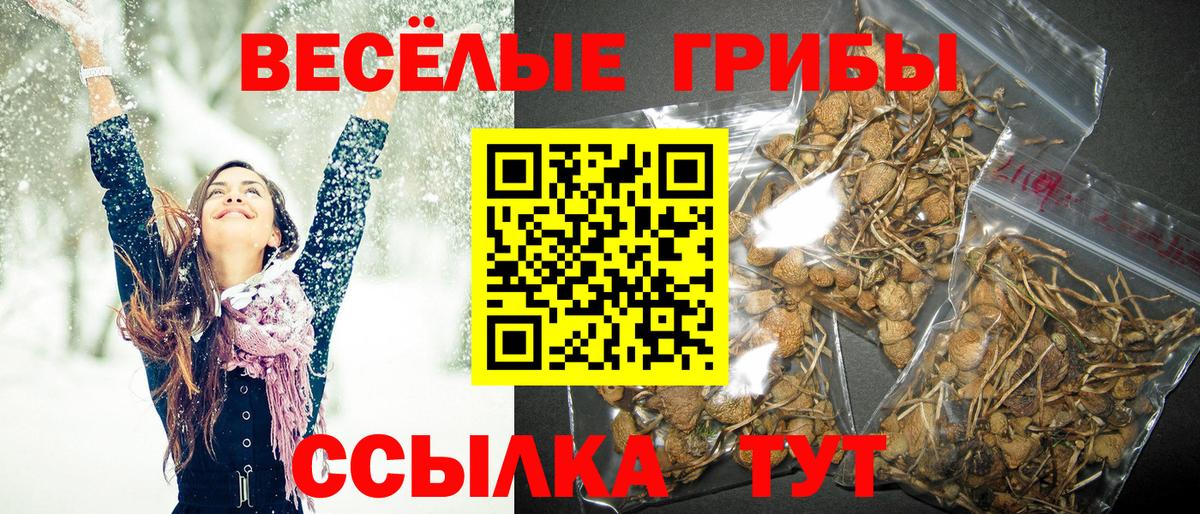 Псилоцибиновые грибы мухоморы  Галлюциногенные грибы ЛСД  Вход с VPN  Нефтеюганск 